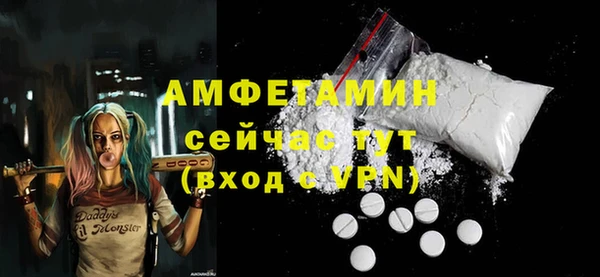 apvp Бородино