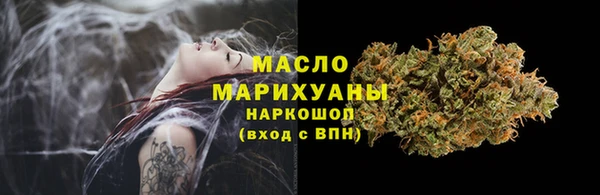 apvp Бородино