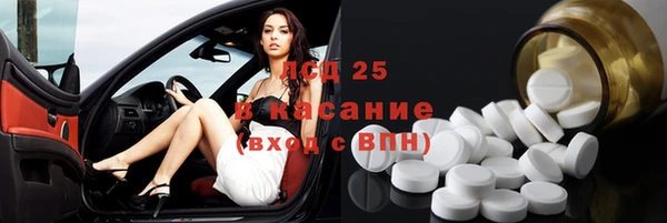 apvp Бородино