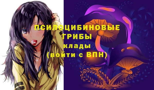 apvp Бородино