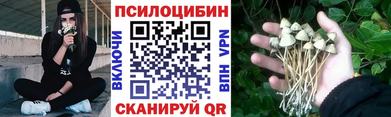 Галлюциногенные грибы Psilocybe  Подольск 